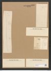 Nitzschia rostrata Grun. (de-Toni-Nr.: Genus 47, Species 2151) Zeichnungen Sammlung Grunow Nr. 4343 (NHMW-BOT-W0372388)